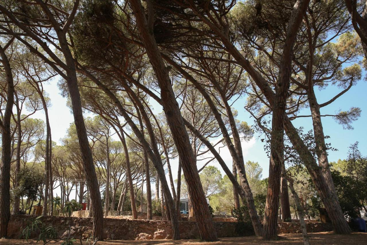 Camping 3 Estrellas Costa Brava Баль-любрега Екстер'єр фото